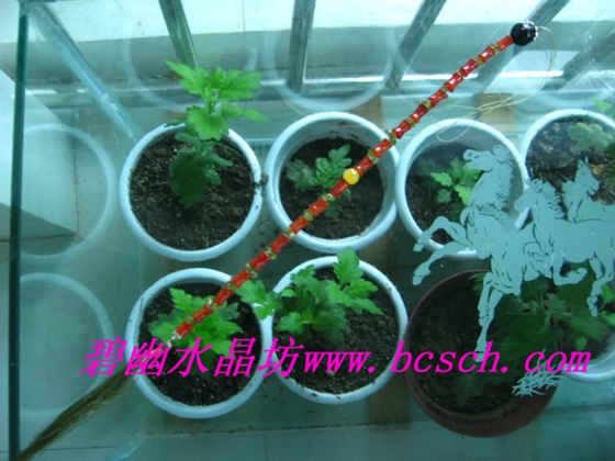 108(yu)|(zh)Ȼt觷22