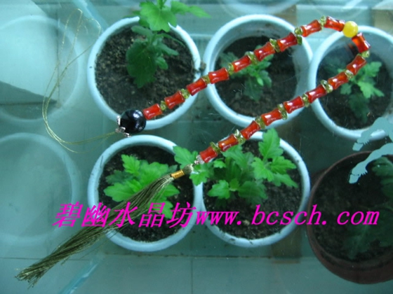 108(yu)|(zh)Ȼt觷22